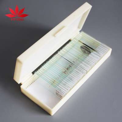 42 pcs Medical parasitological parasites microscopic slides