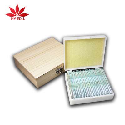 Factory direct sale can hold 25/50/100/200pcs microscope slides of wooden box