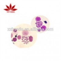 Individual slide cell biology and genetics chromosome microscope accessories slides