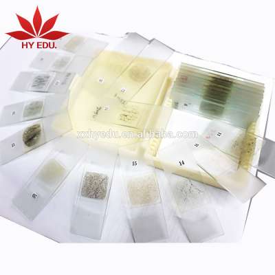 Mixed mineral microscope slides sets fo 24pcs rocks and mineral specimens microscope slides for geology slides Sciences