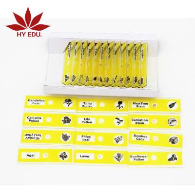 Microscope Plastic Prepared Microscope Slides of flower histology kids microscope Specimens